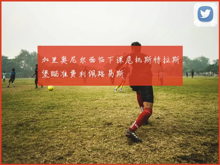 加里奥尼尔面临下课危机斯特拉斯堡瞄准费利佩路易斯